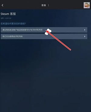 Steam游戏手机版