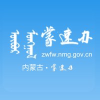 内蒙古蒙速办政务服务网下载2026最新版官方版