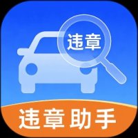 交通违章缴纳记录