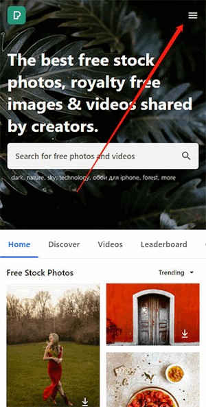 pexels怎么设置中文?
