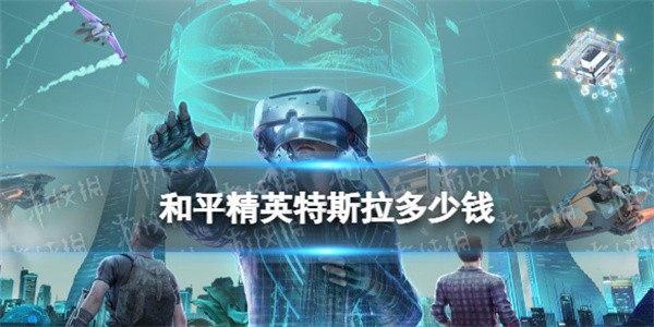 和平精英特斯拉皮肤价格解析