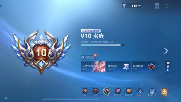 王者荣耀2026会员等级充值攻略