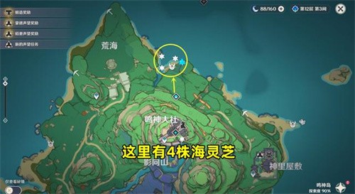 原神海灵芝采集攻略：全地图分布图