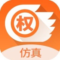 国信期权仿真