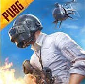 pubg台服