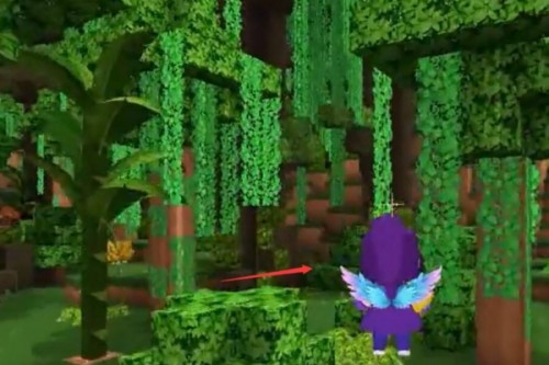 迷你世界雨林版本