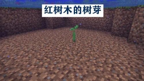 我的世界1.19