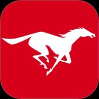 易直聘app 中文版