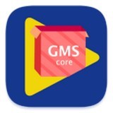 gms安装器