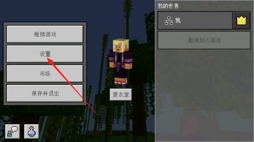 我的世界皮肤版1.19