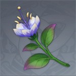 原神帕蒂沙兰采集指南：高效获取地点推荐