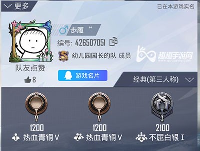 和平精英空白代码使用指南，探索隐藏技巧