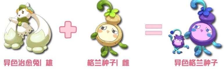 图片7