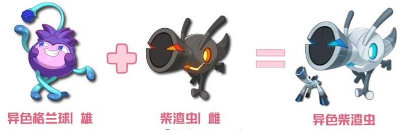 图片9
