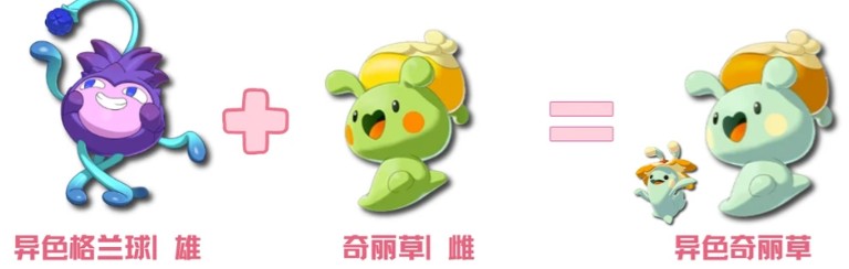 图片8