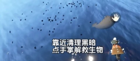 图片4