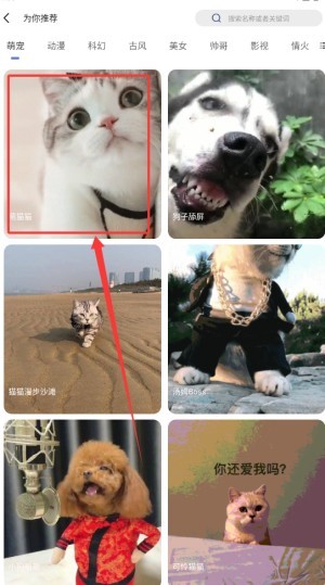 图片4
