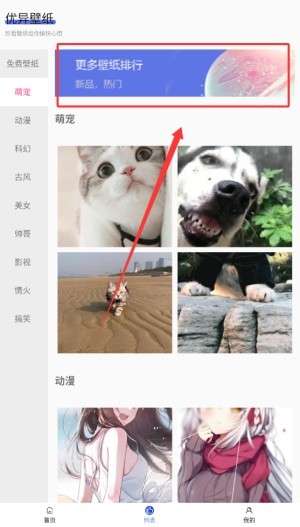 图片3