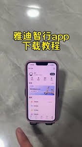 图片2