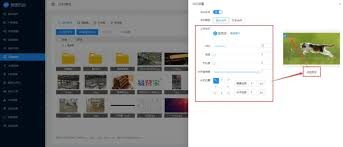 图片3