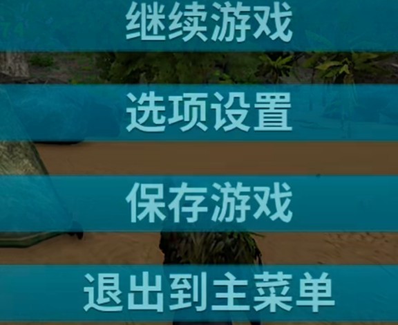 图片4