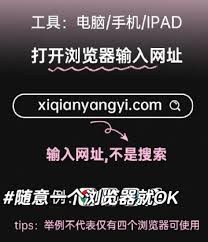 图片2
