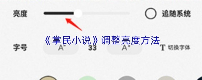 《掌民小说》亮度调整教程与设置方法