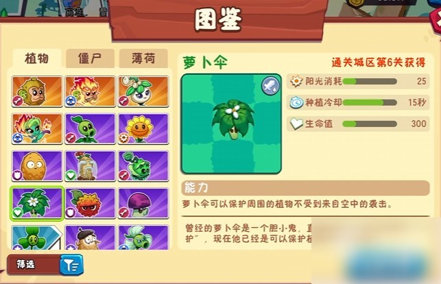 图片6