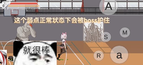 图片7