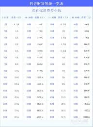 抖音28级升到29级需要刷多少金额