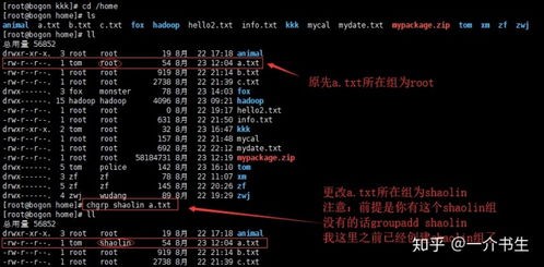 Linux 查看用户权限教程