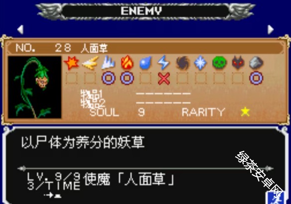 图片6