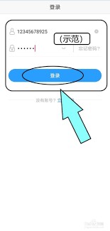 图片3