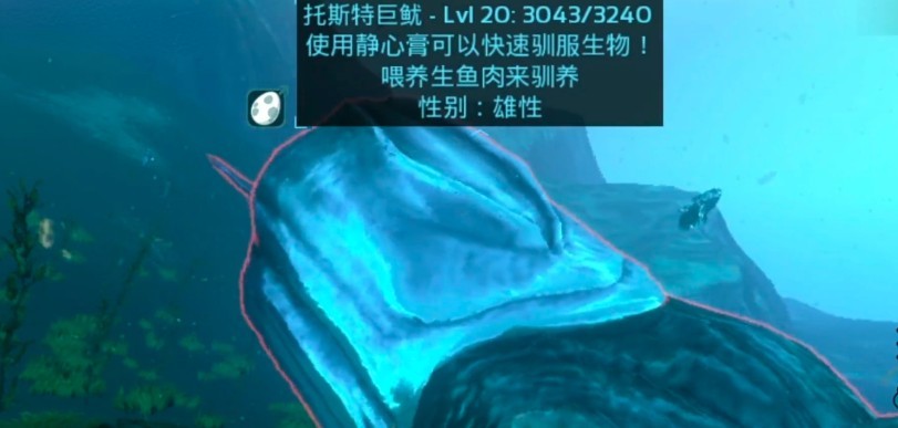 图片5