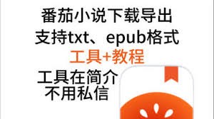 图片4