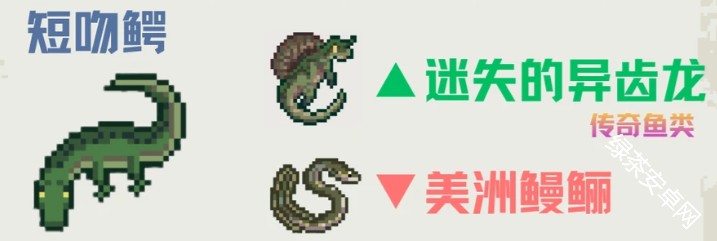 图片8