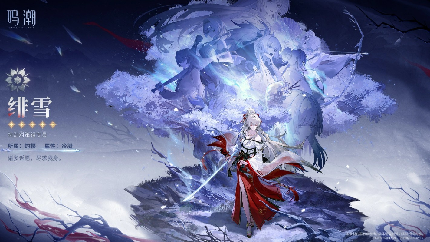 图片4