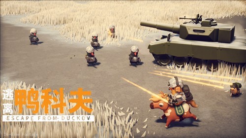 图片5