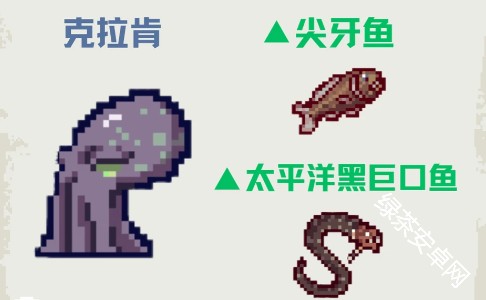 图片9