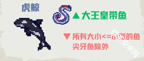 图片8