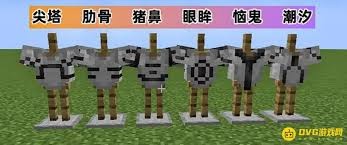 图片3