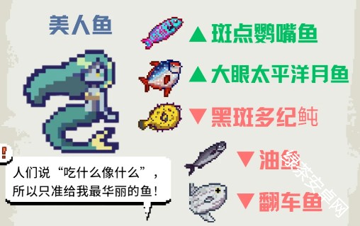 图片7
