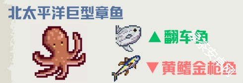 图片5