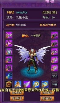 图片3