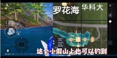 图片4