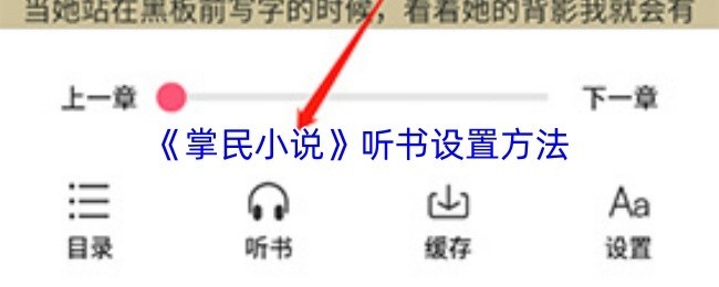 掌民小说听书设置攻略与详解