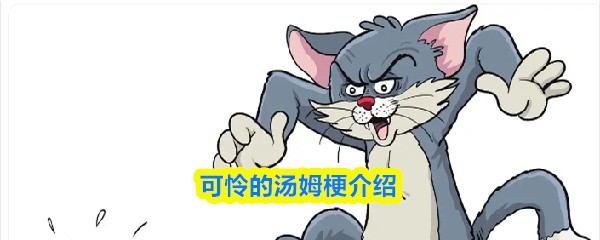 可爱汤姆猫游戏介绍与玩法指南