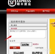 图片3