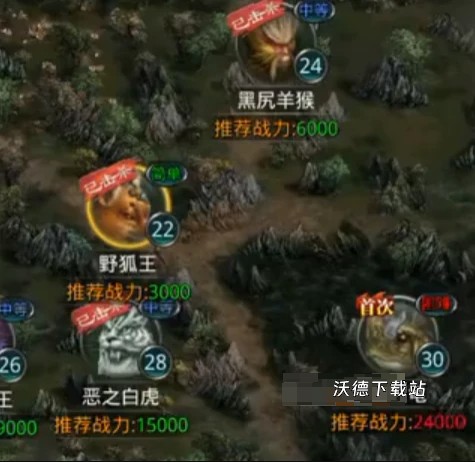 图片4