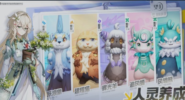 图片3